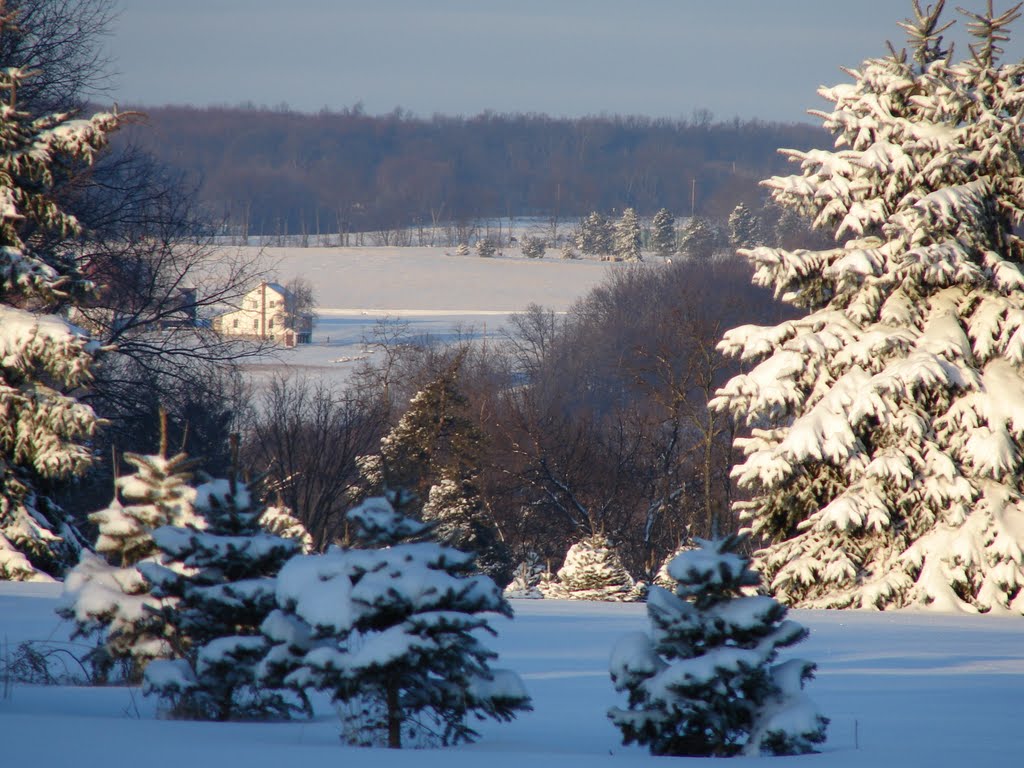 View from Philips Christmas Tree Farm