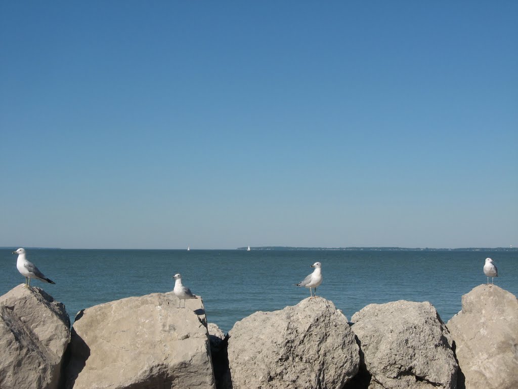South Bass Island across Lake Erie
