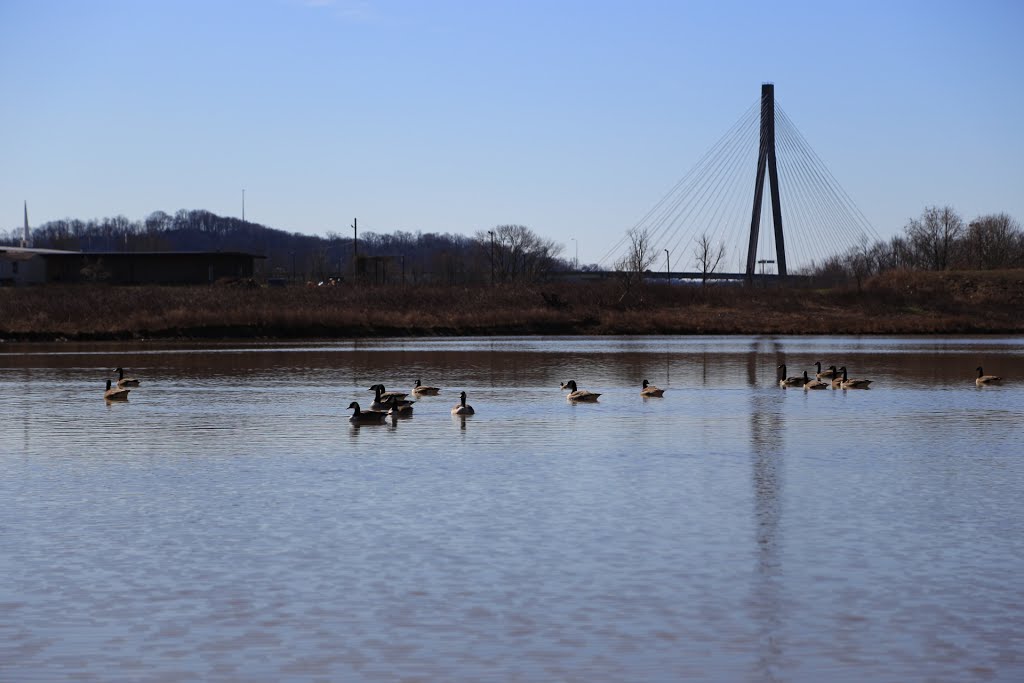 Ducks in a row