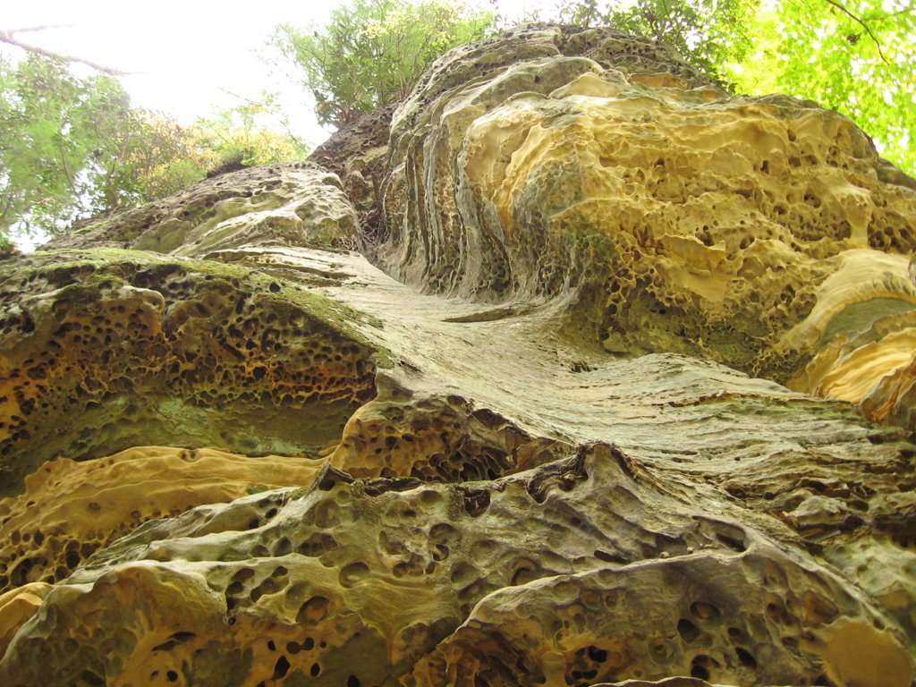 Box Canyon Sandstone
