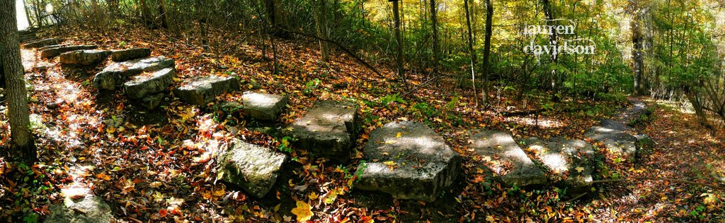 Stone Stairs in the Woods