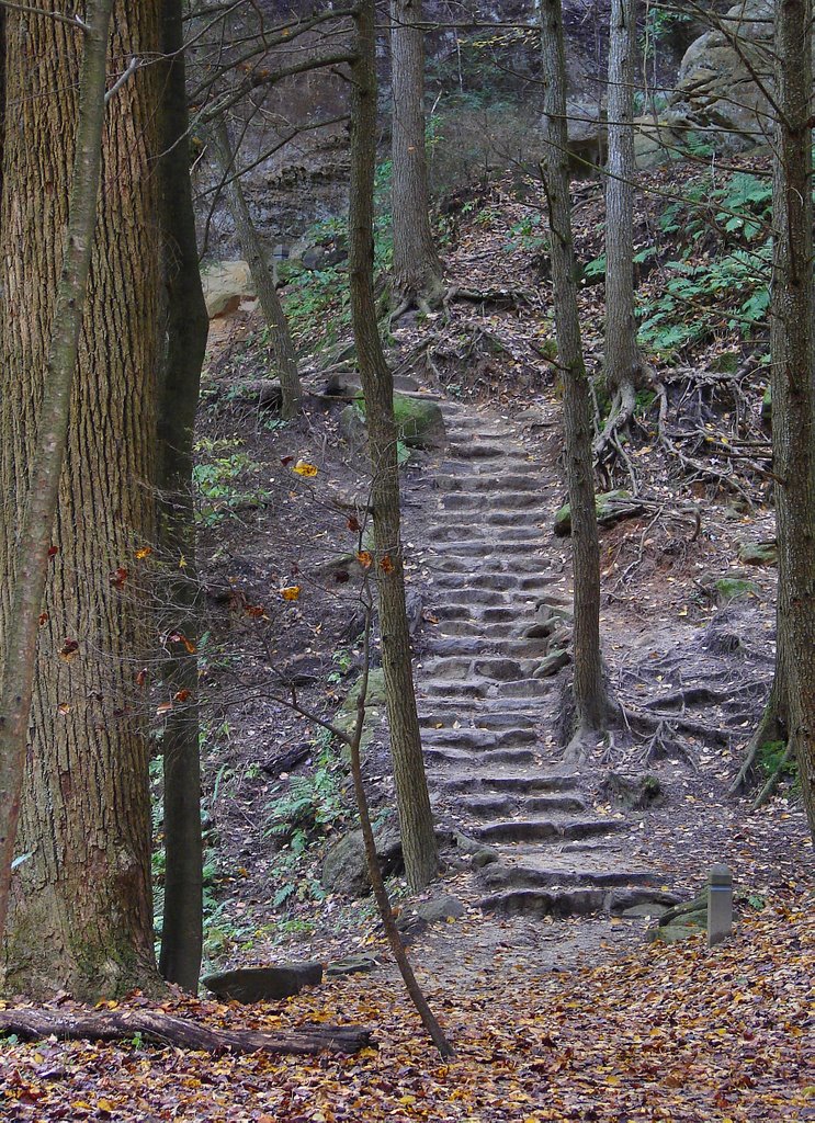 Old Mans Cave SP