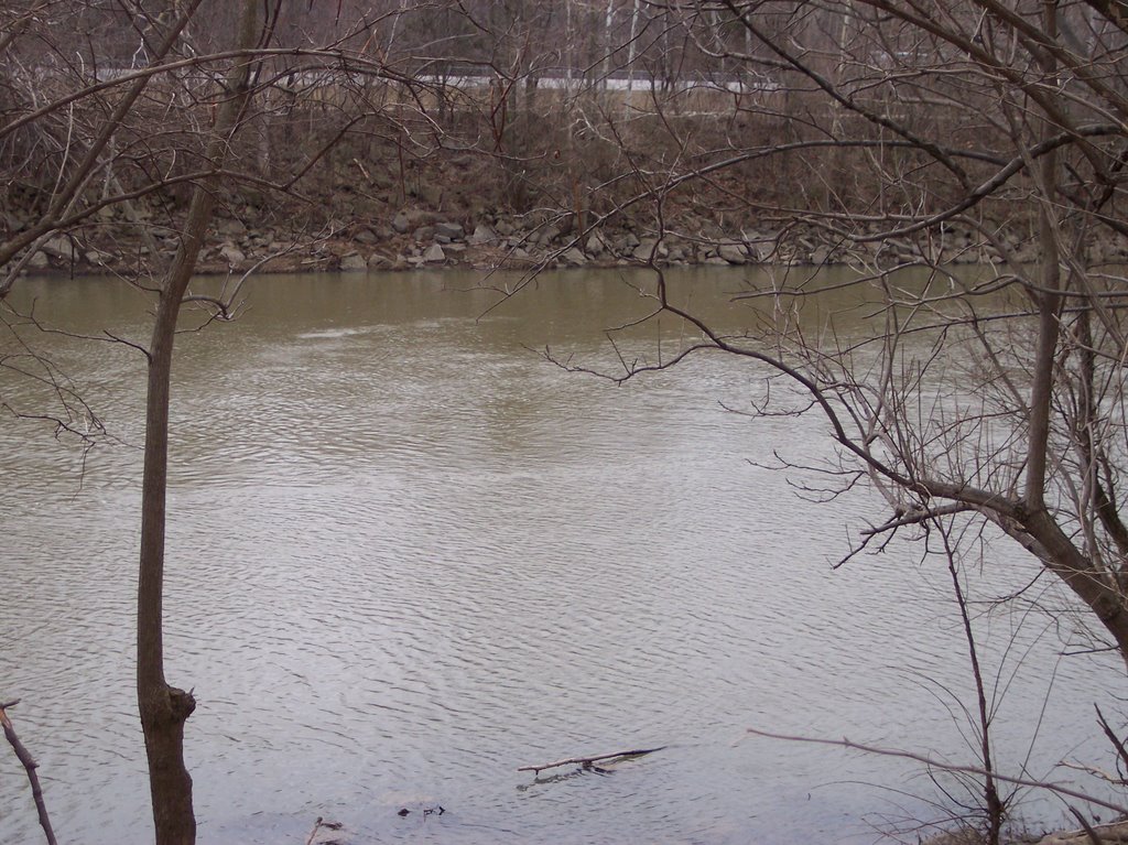 Olentangy River. Very dirty.