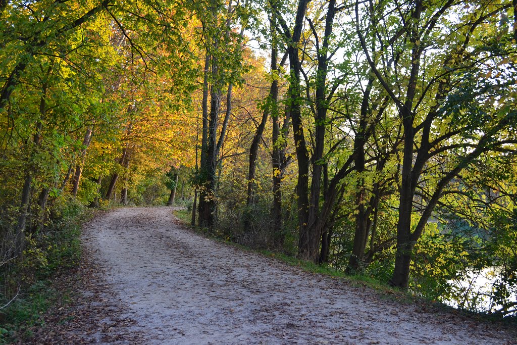 Trail at Antrim Park