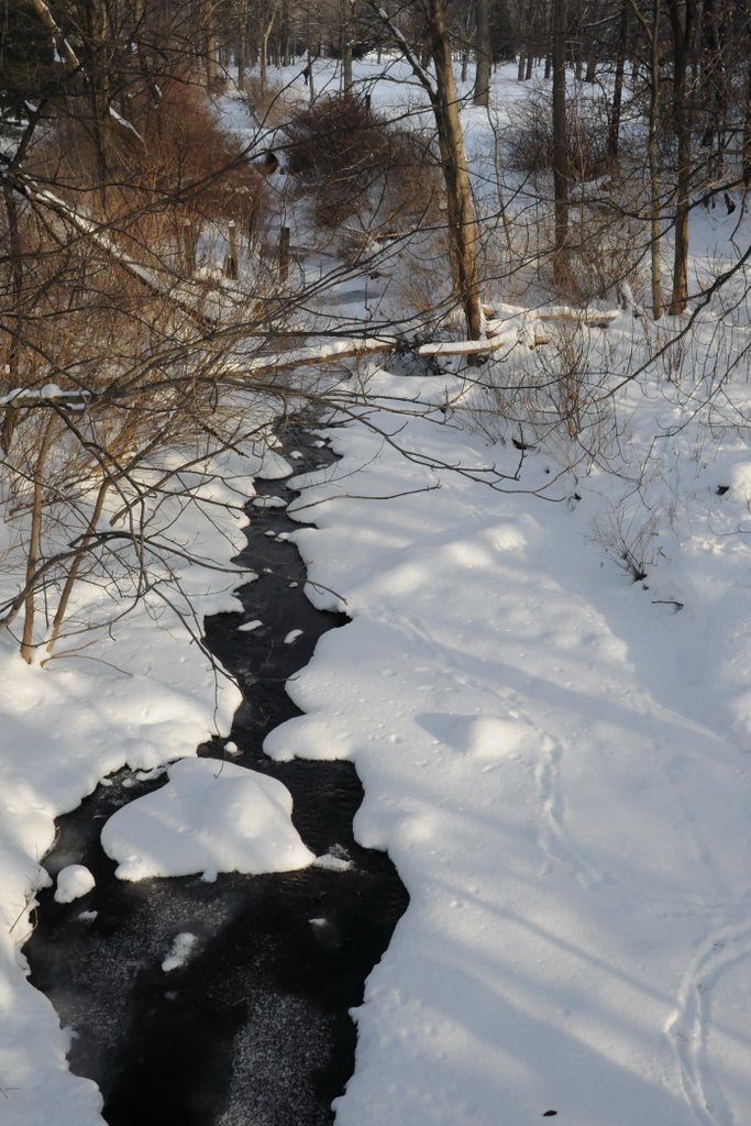 Stream