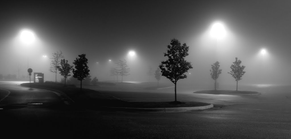 Fog