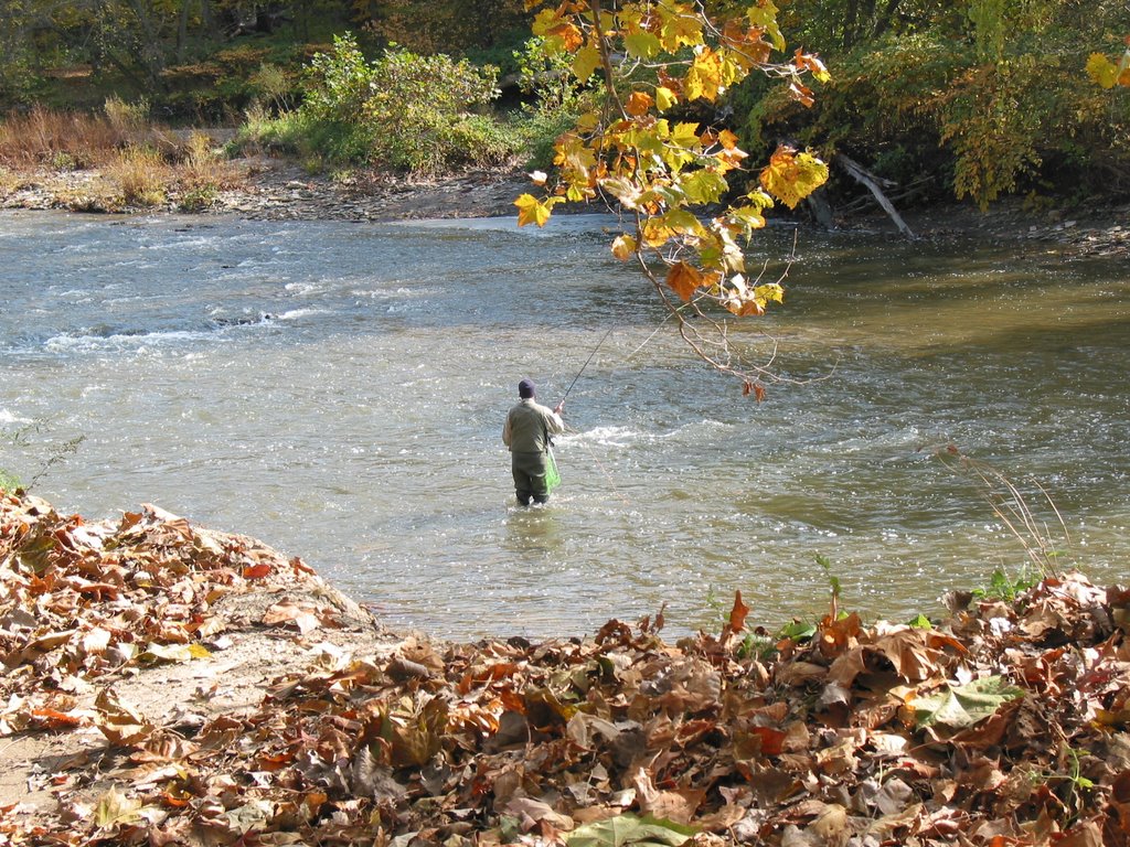 Fishing near The Cliffs on RockyRiver