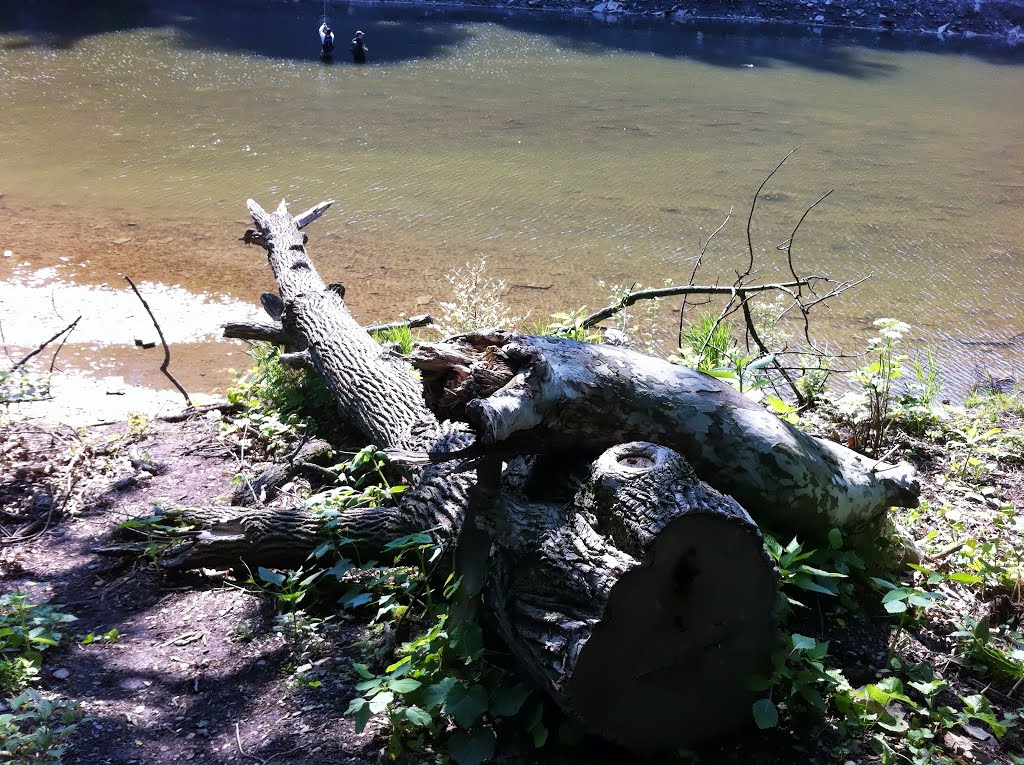 Rocky River Reservation