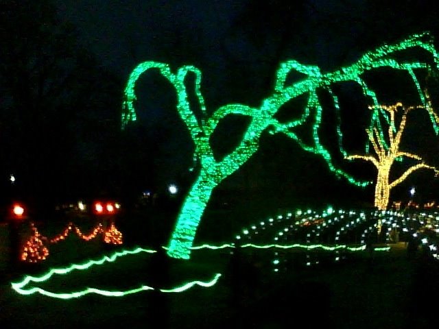 Toledo Zoo - Lights Before Christmas