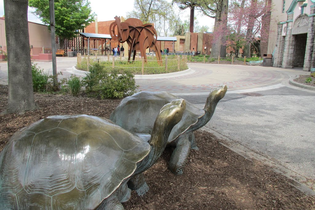Turtles and an elephant