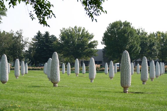 Cement corn field