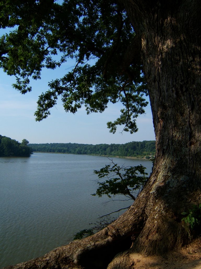 Hogback Rd cliffs and Alum Creek reservoir, Kilbourne, OH