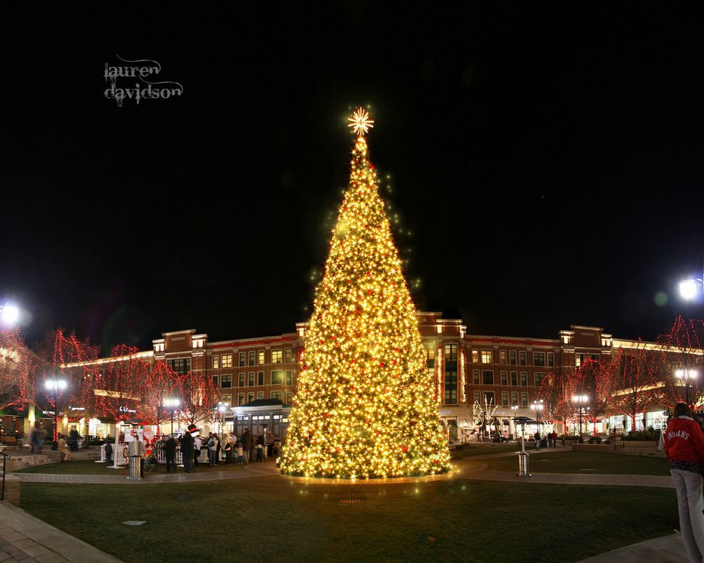 Christmas Tree at The Greene