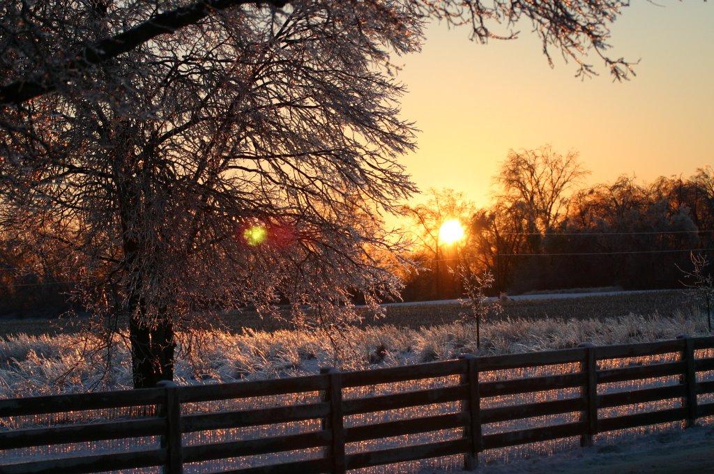 Ice Storm Christmas Eve 2004, Three Creeks Park Columbus, Ohio (USA)