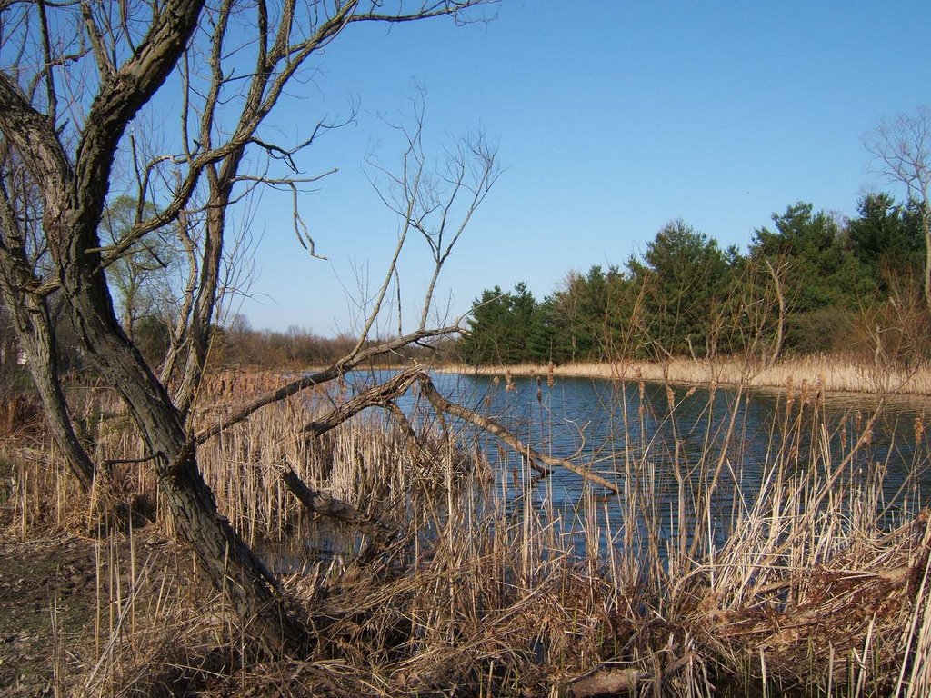 Theres an info-station here on up on the left... nice lake to fish!