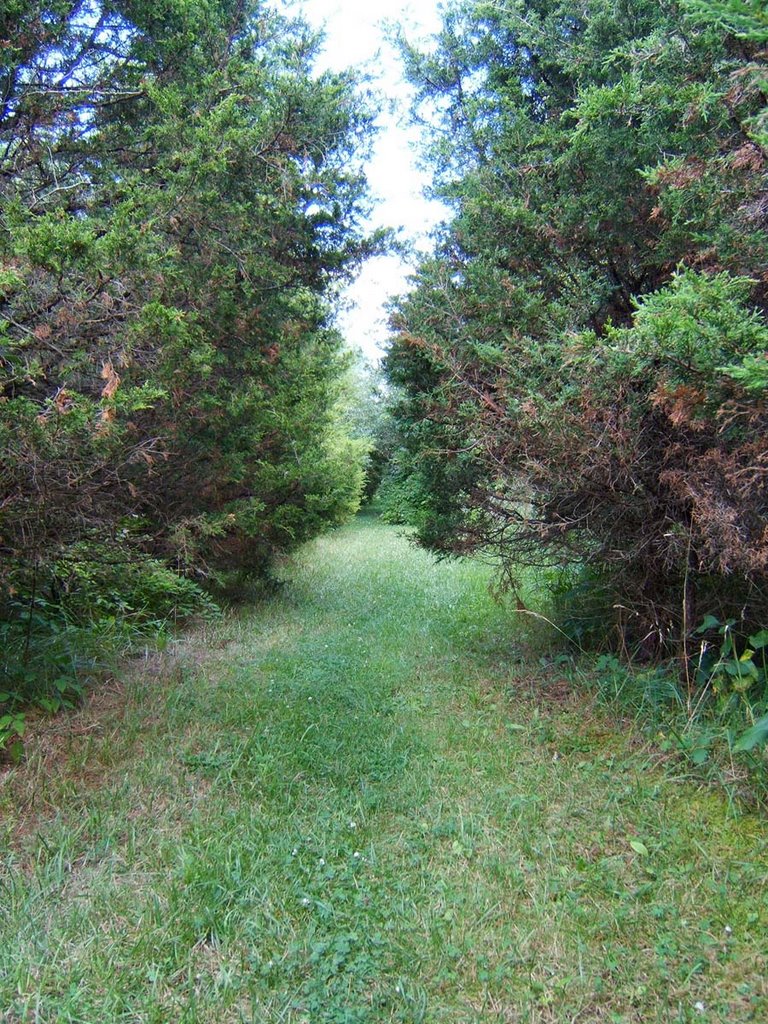 Old Curve Rd... after the reservoir