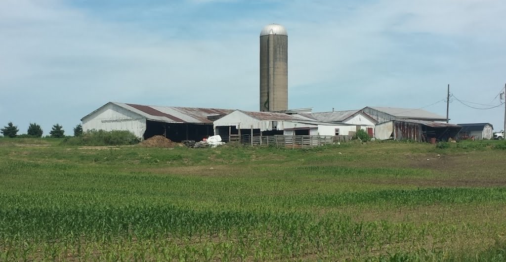 Farm