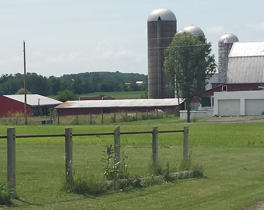Working farm