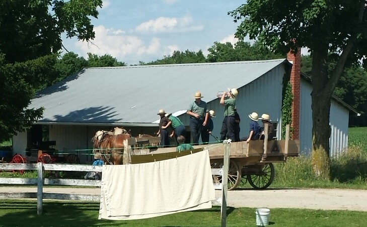 10 grand sons on a wagon.