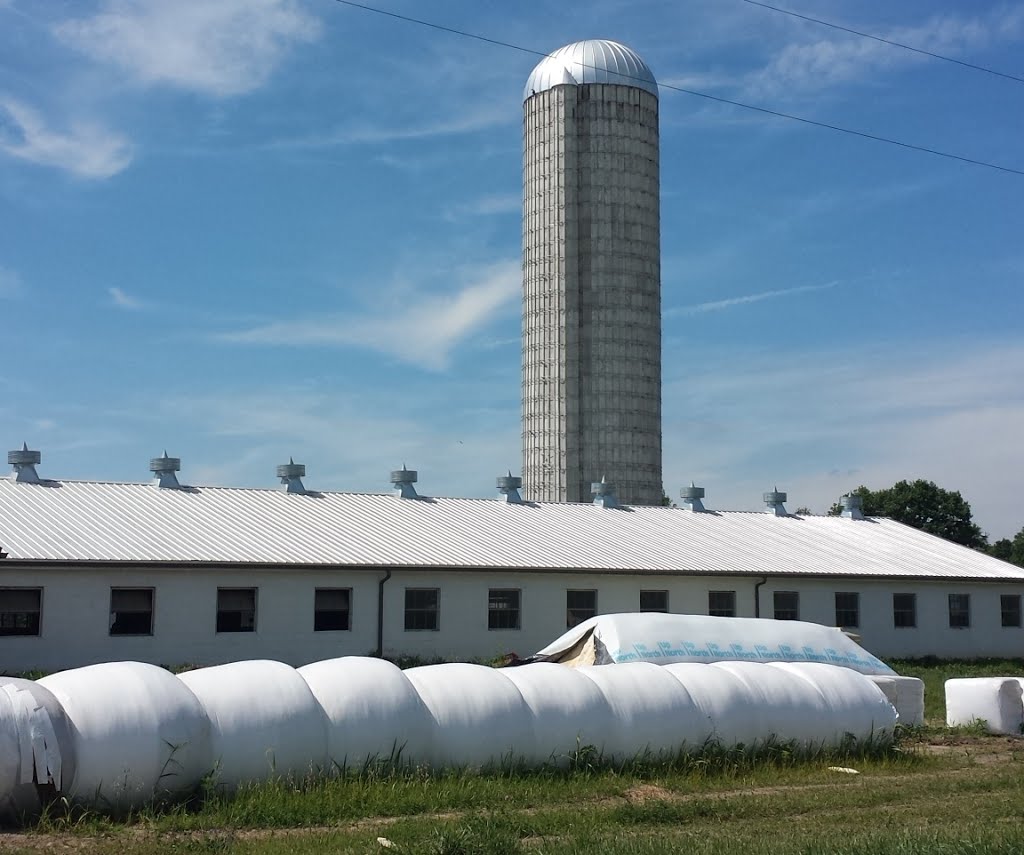 Wrapped bails.
