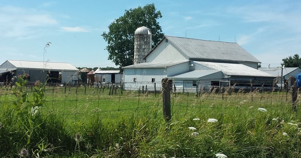 How many generation have farmed here?