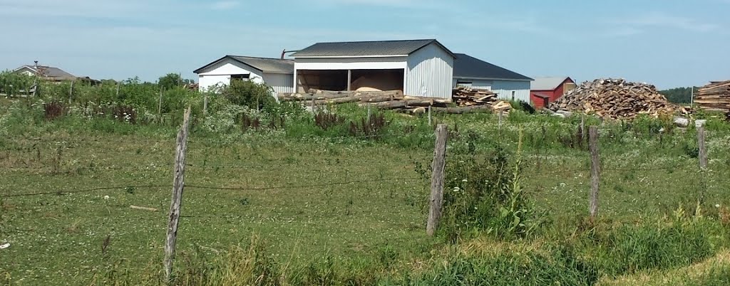 Lots of stove length slabs for firewood.