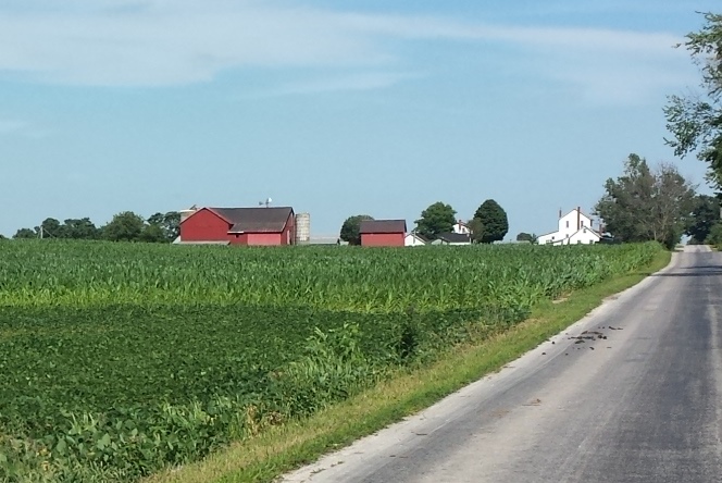 Along this road...