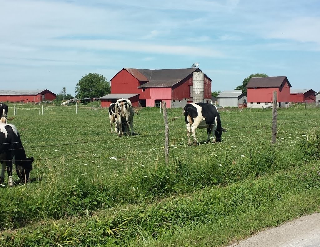 Working farm.