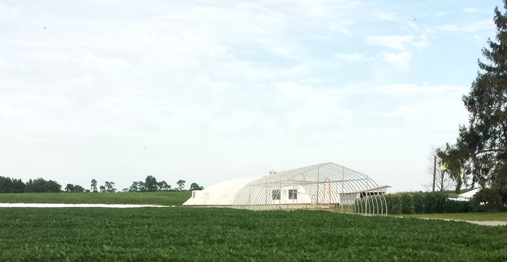 Hoop barn frame.