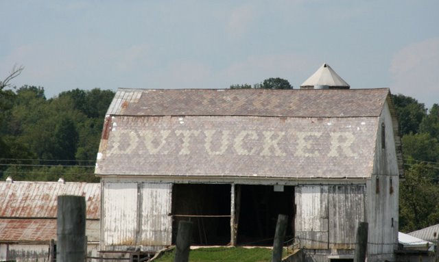 Roof of D.V. Tucker Barn