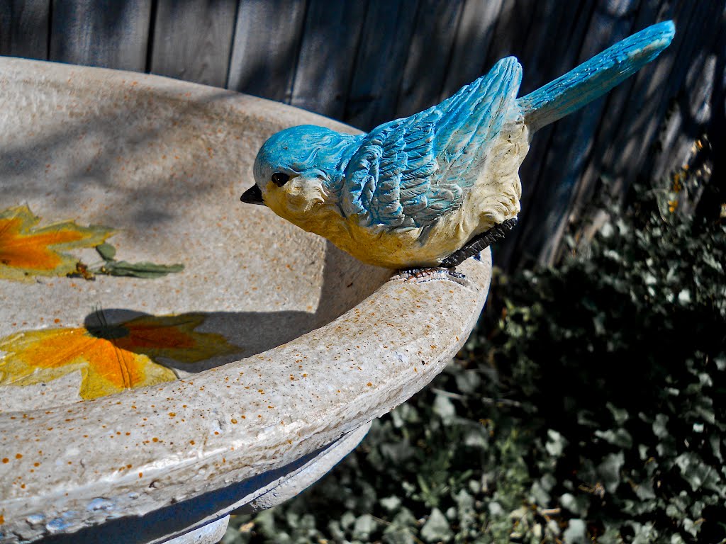Birdbath 1