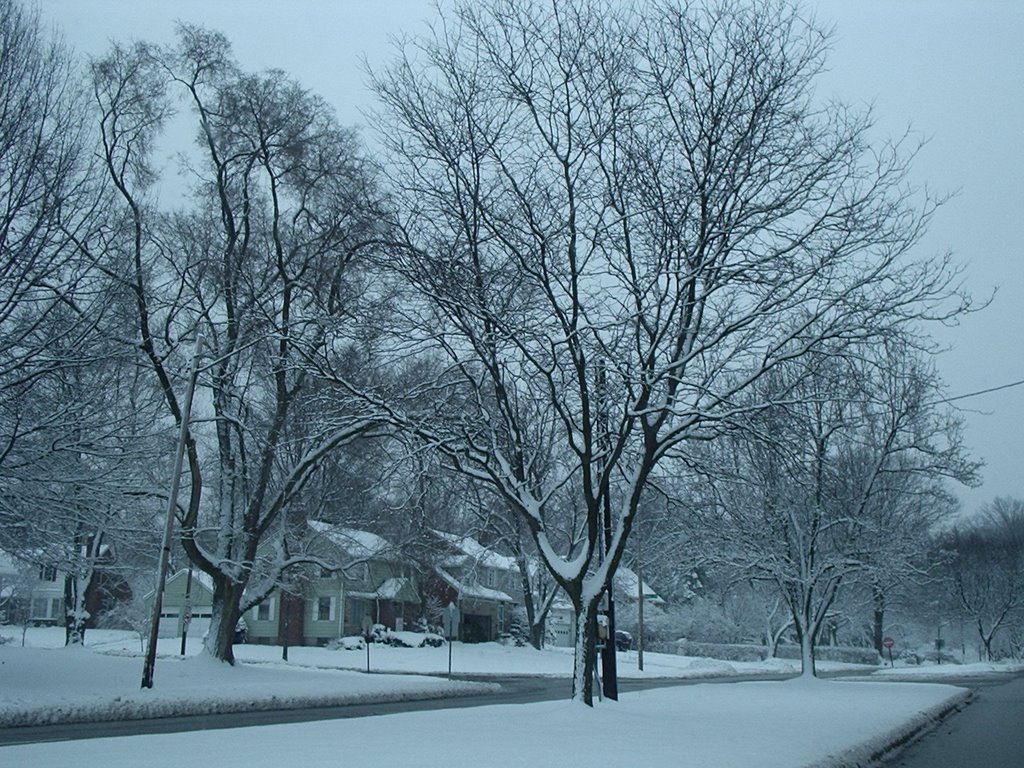 South Euclid in Winter