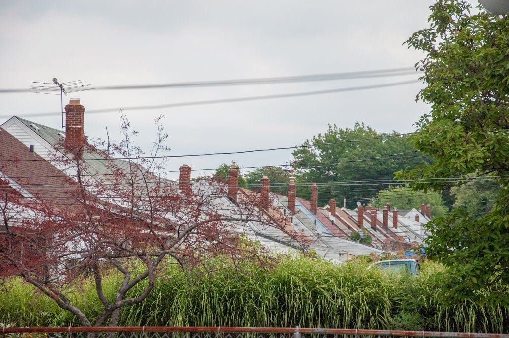 Behind Suburbia