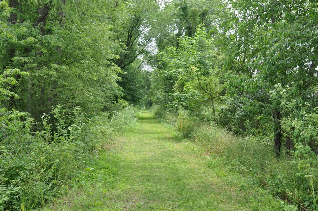 Heart of Ohio Trail near Mt Vernon - Unpaved in 2012