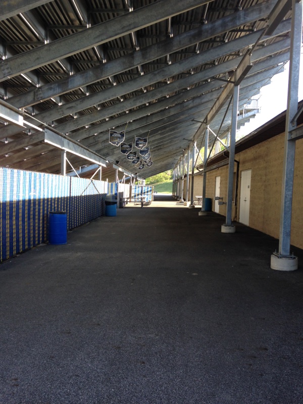 Stadium/Concession