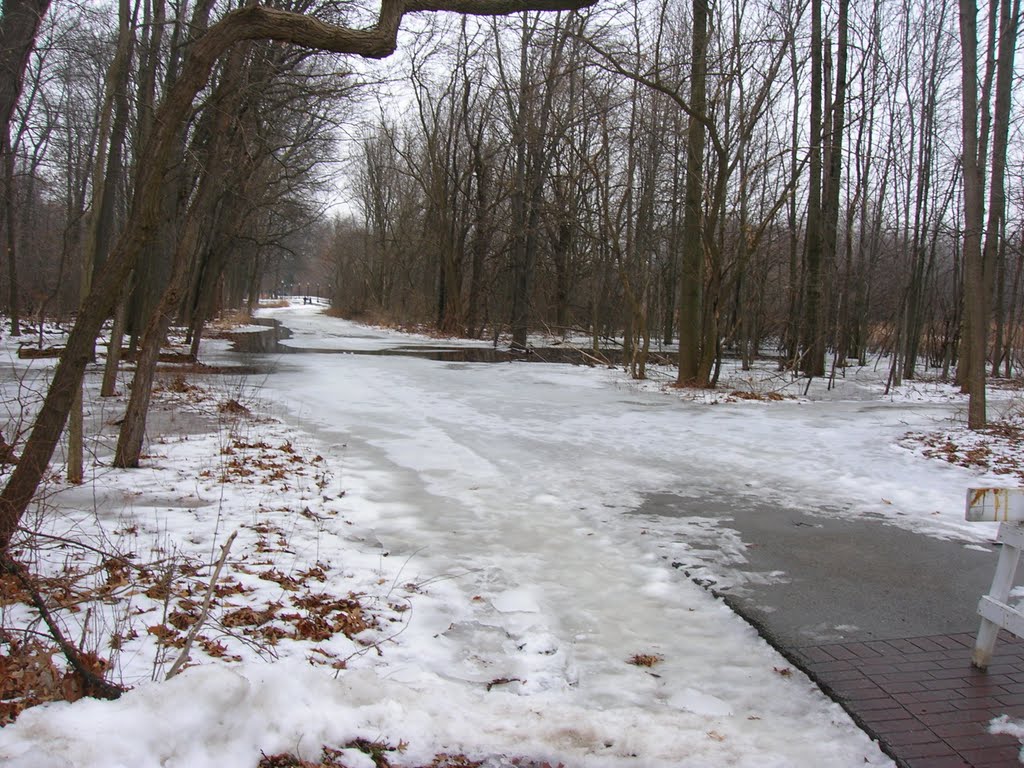 Flooded trail - Wildwood Park