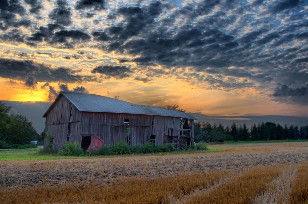 Rural Landscape