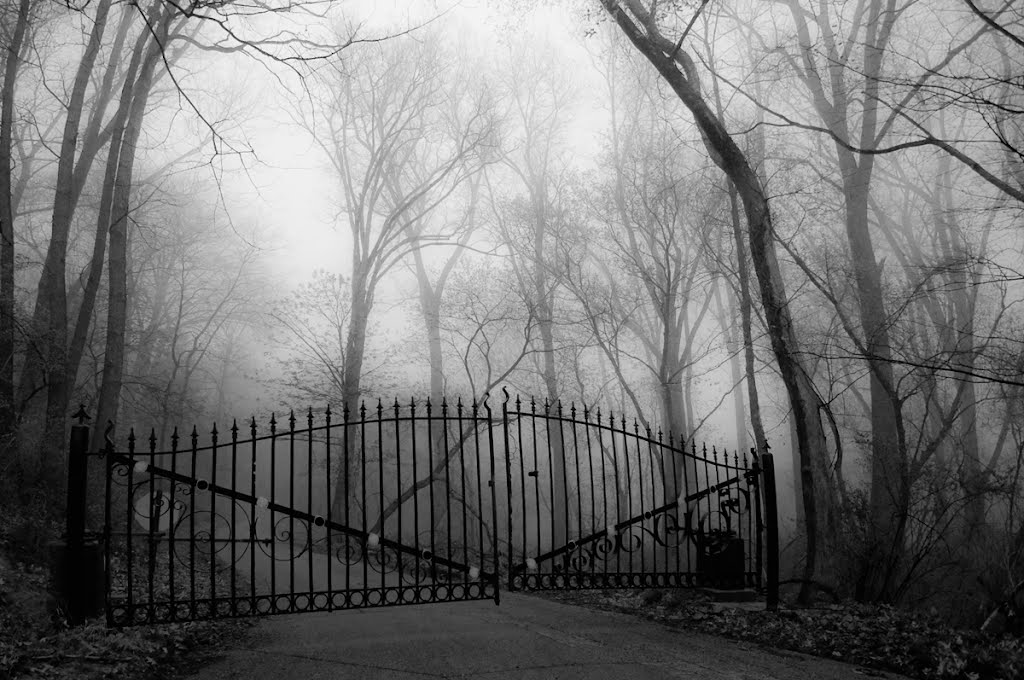 Foggy Path
