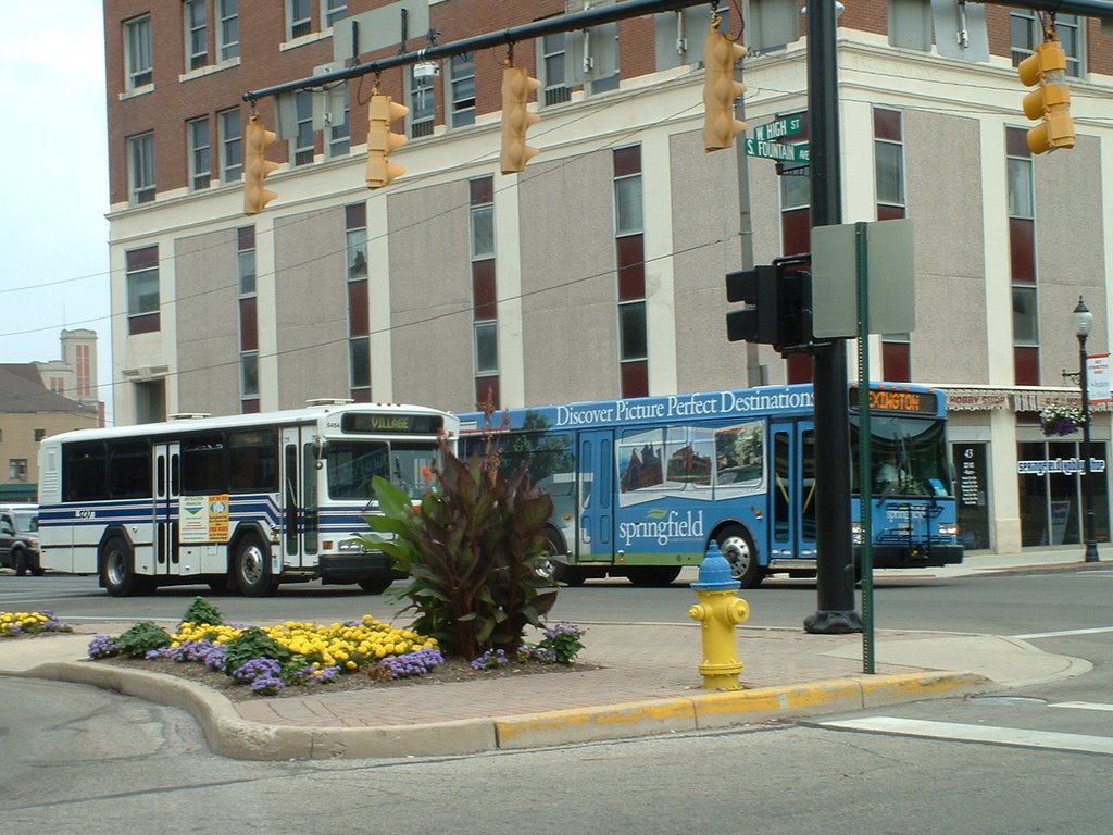 MetroTransitBuses