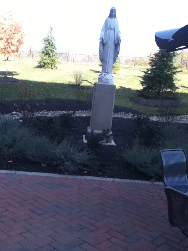 mary  at springfield,ohio regional medical center