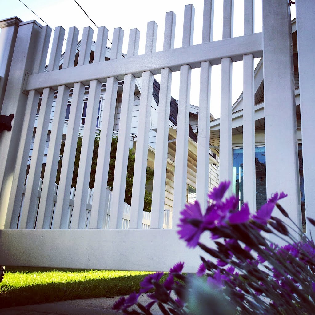 Picket Fence