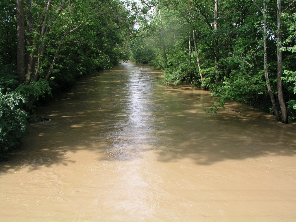 Mad River from Dallas Road bridge, looking north (upstream)