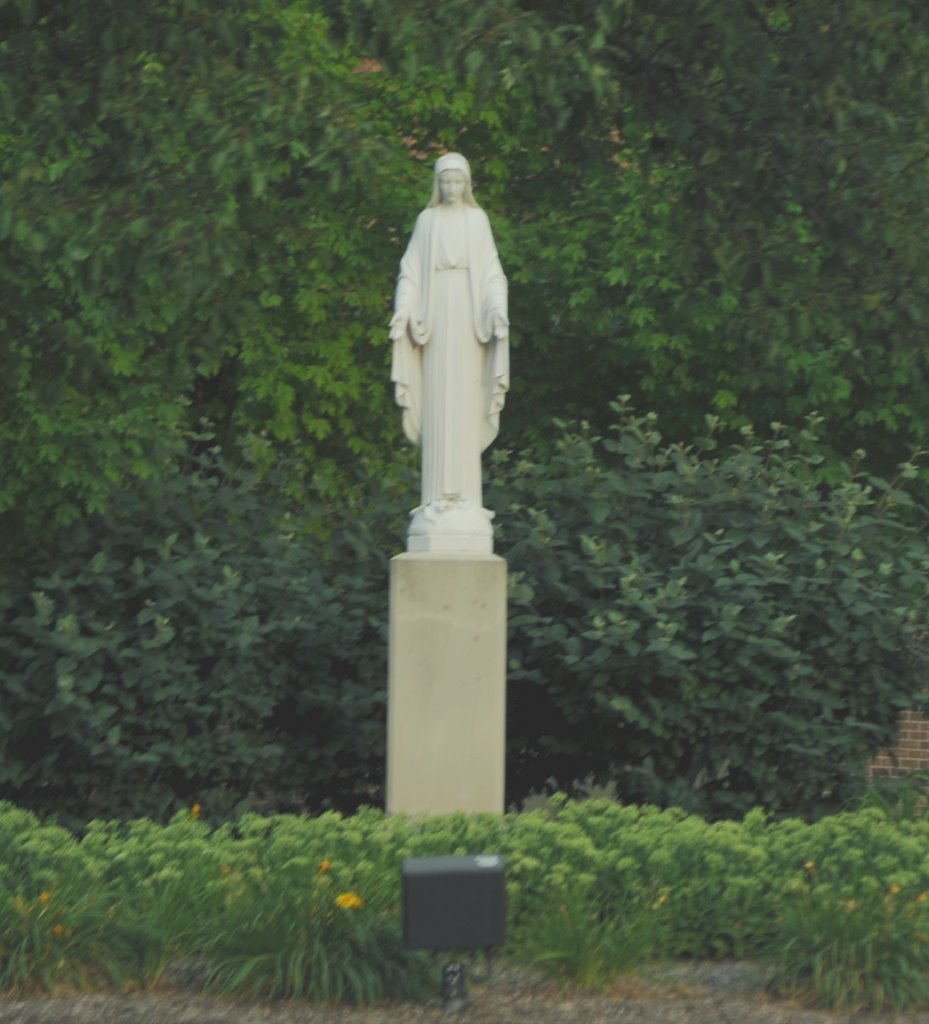 Mary ..... at Mercy Medical Center . Springfield, Ohio