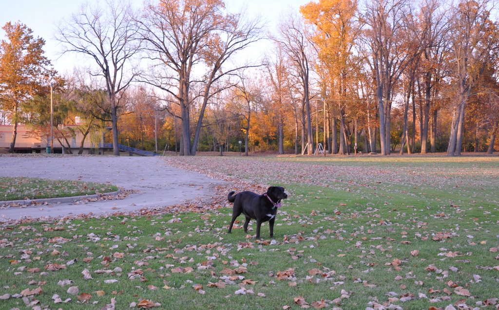 Treasure Island Park - Troy Ohio