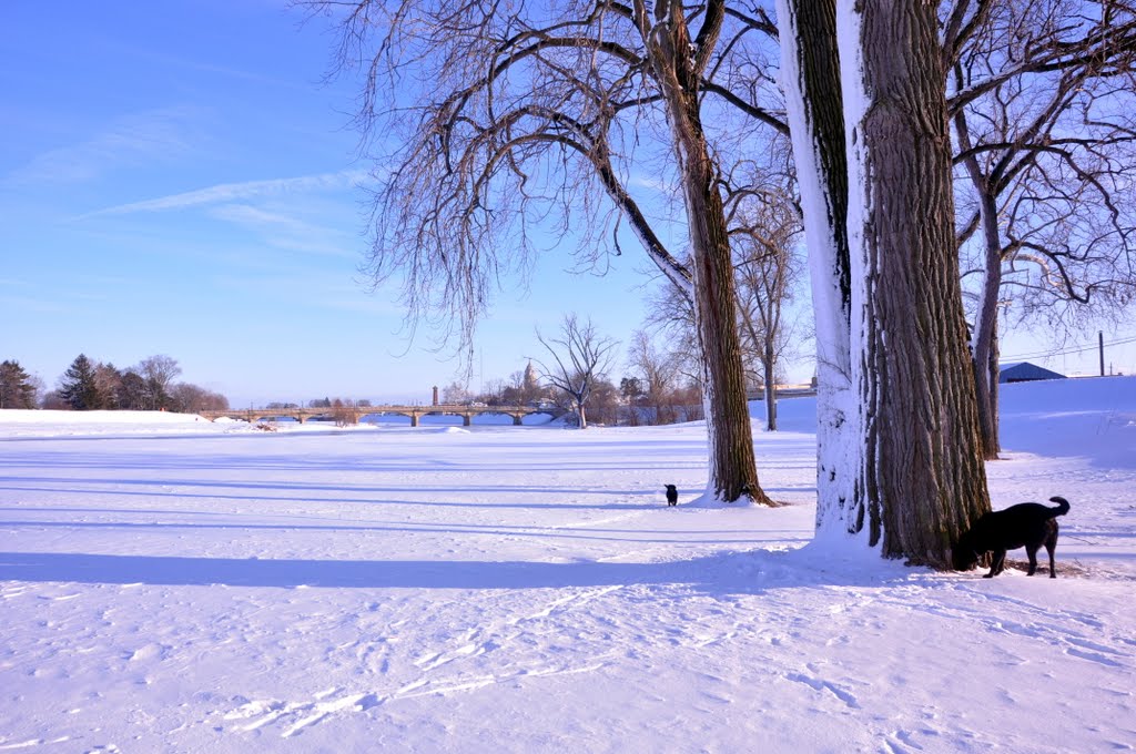 Treasure Island Park Troy Ohio
