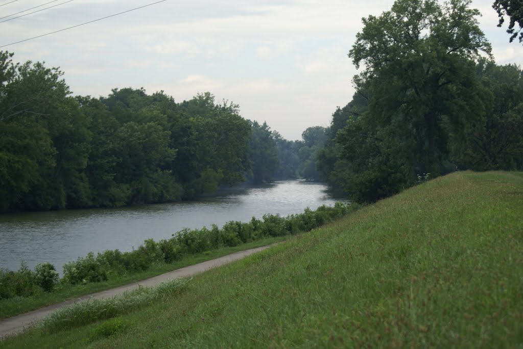 Miami River