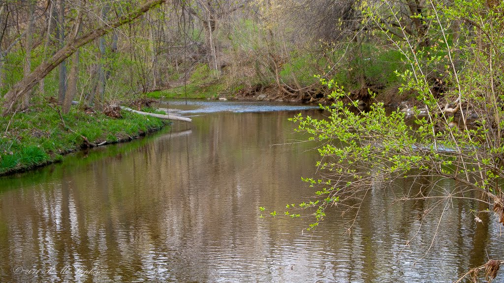 Wolf Creek @Trotwood Community Park, Trotwood, OH