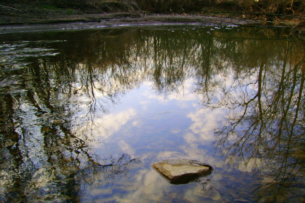 Reflections