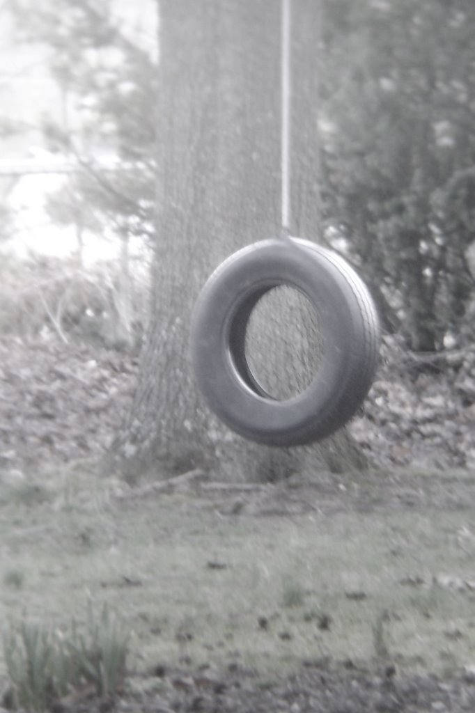 Tire Swing