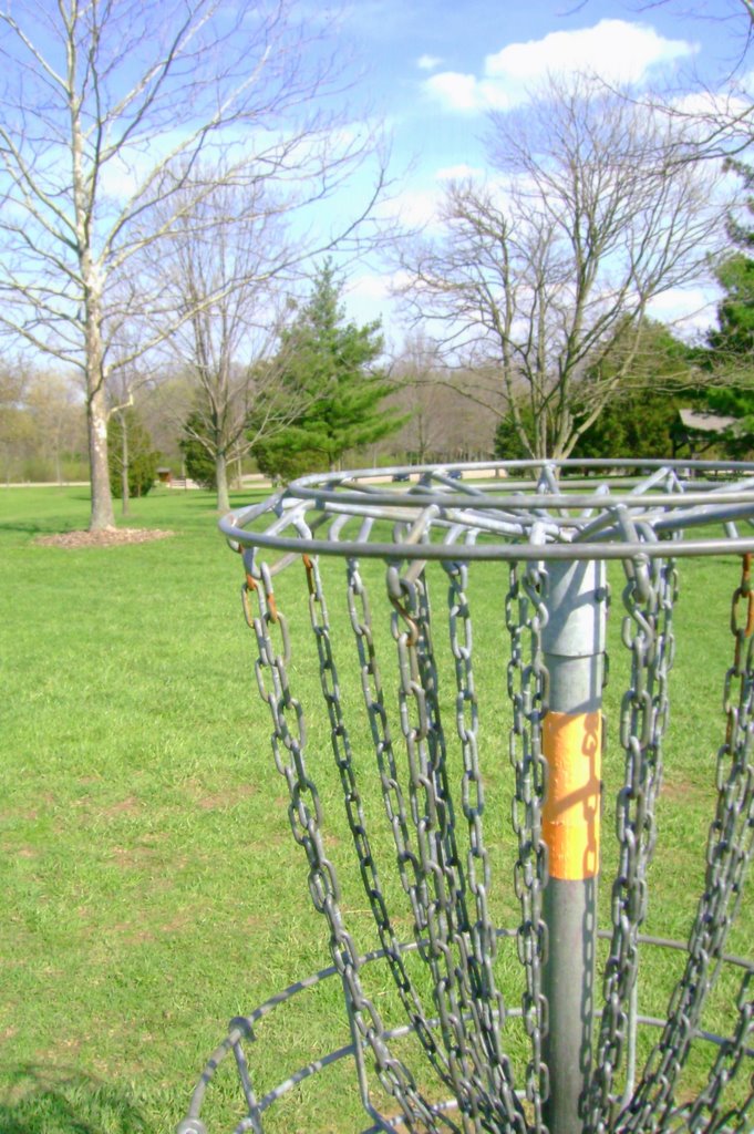 Frisbee Golf!